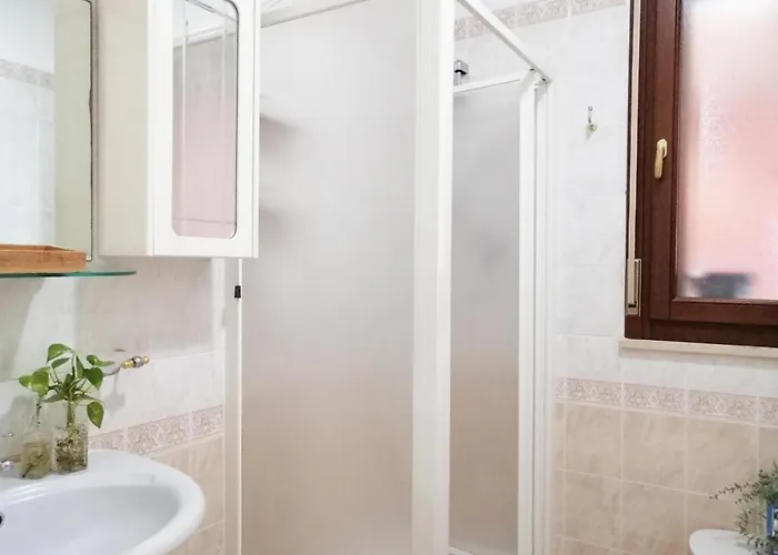 Holihome Coccinella 10